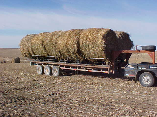 2EZ One Bale Mover Hay Trailer™ - Horse fence for your corral.