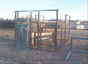 8’6” x 14’ Calving and Nursing Pen – Has a 9’6” gate which forces cow into the head gate, with the door in this gate to let a calf nurse. Has 3 entrance gates.
